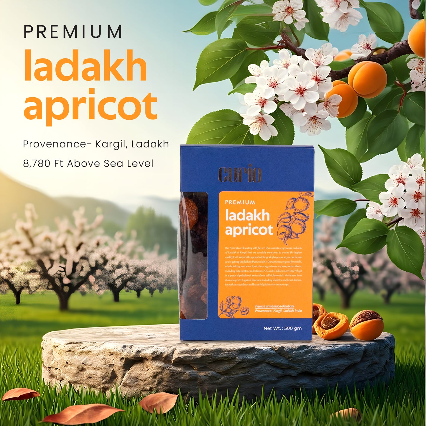 Ladakh Apricots
