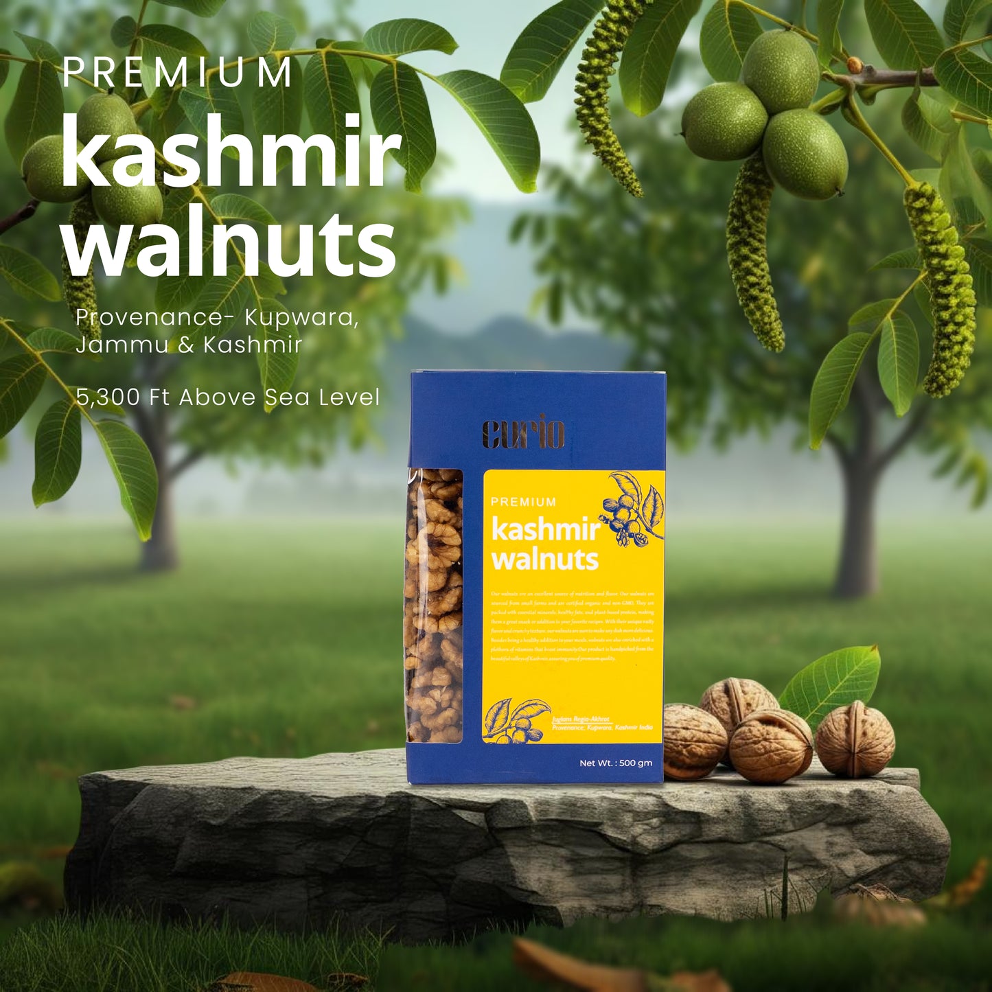 Kashmir Walnut Kernels