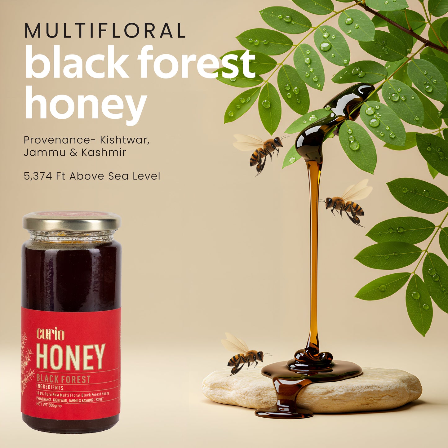 Raw Multi-Floral Black Forest Honey