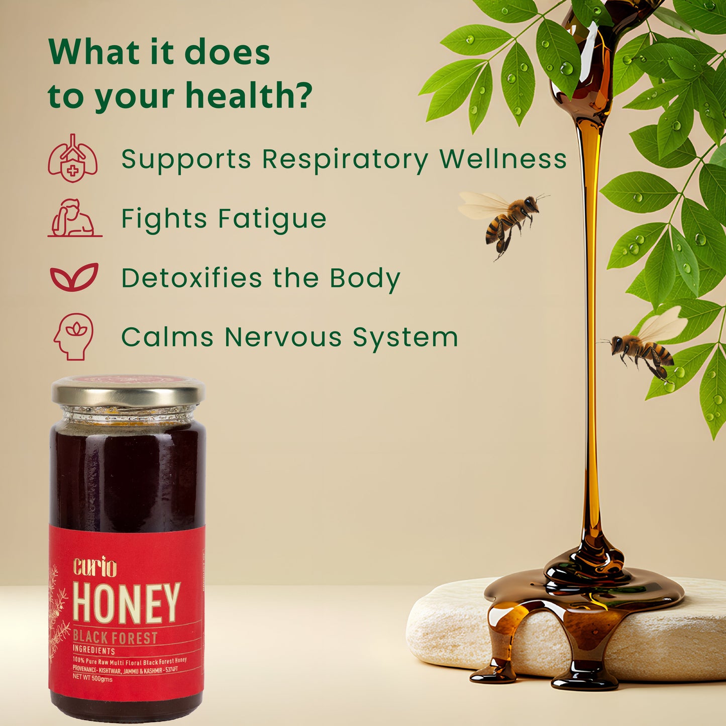 Raw Multi-Floral Black Forest Honey