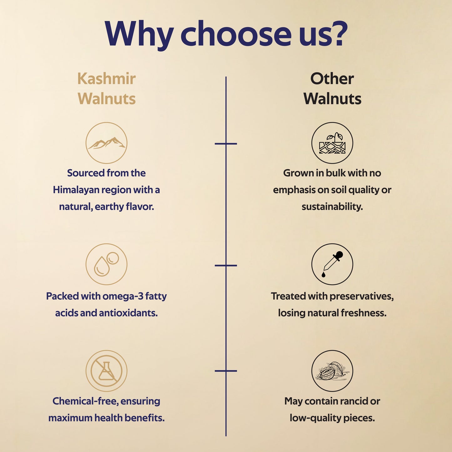 Kashmir Walnut Kernels