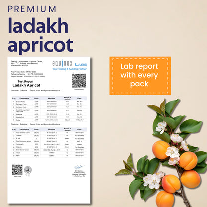 Ladakh Apricots