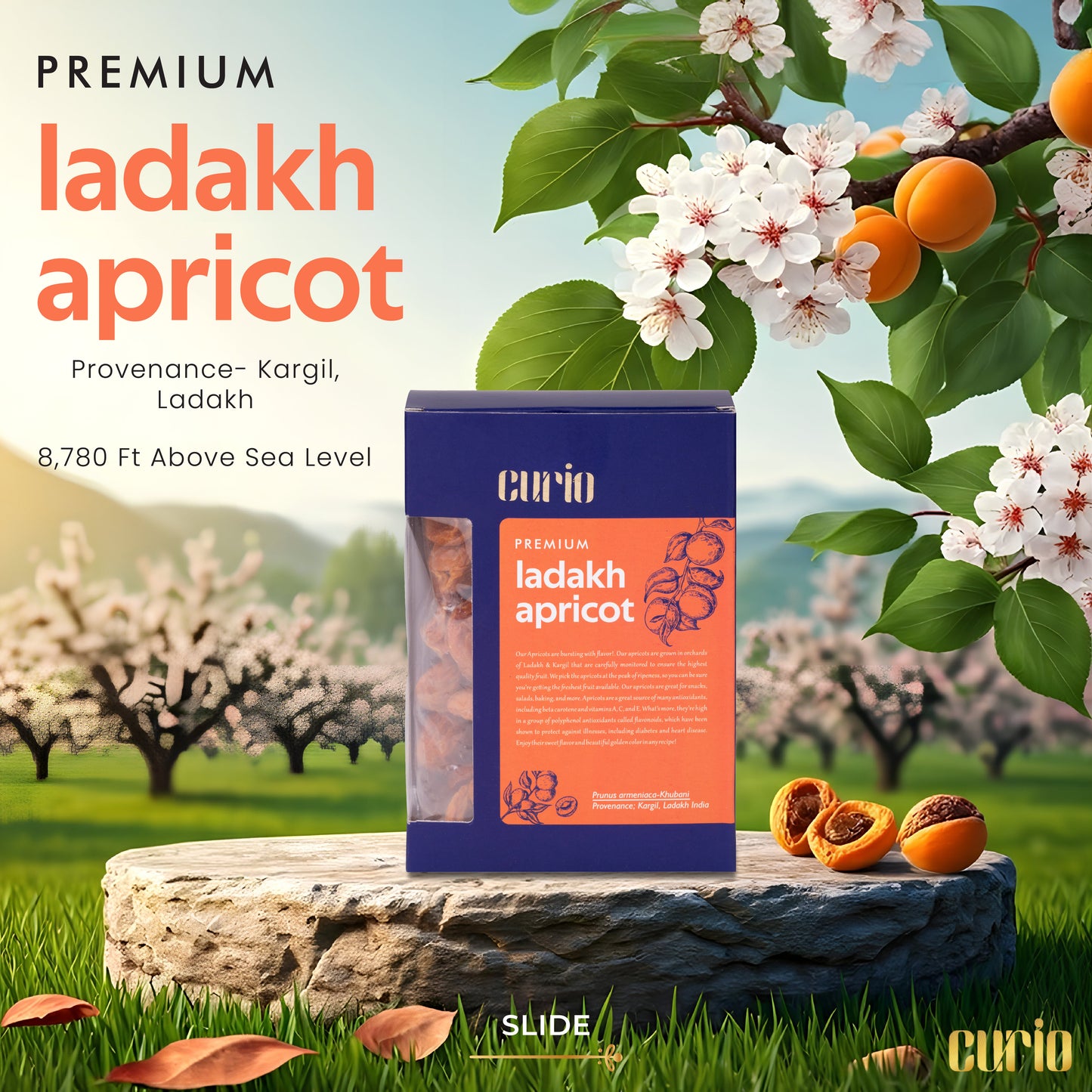 Ladakh Apricots