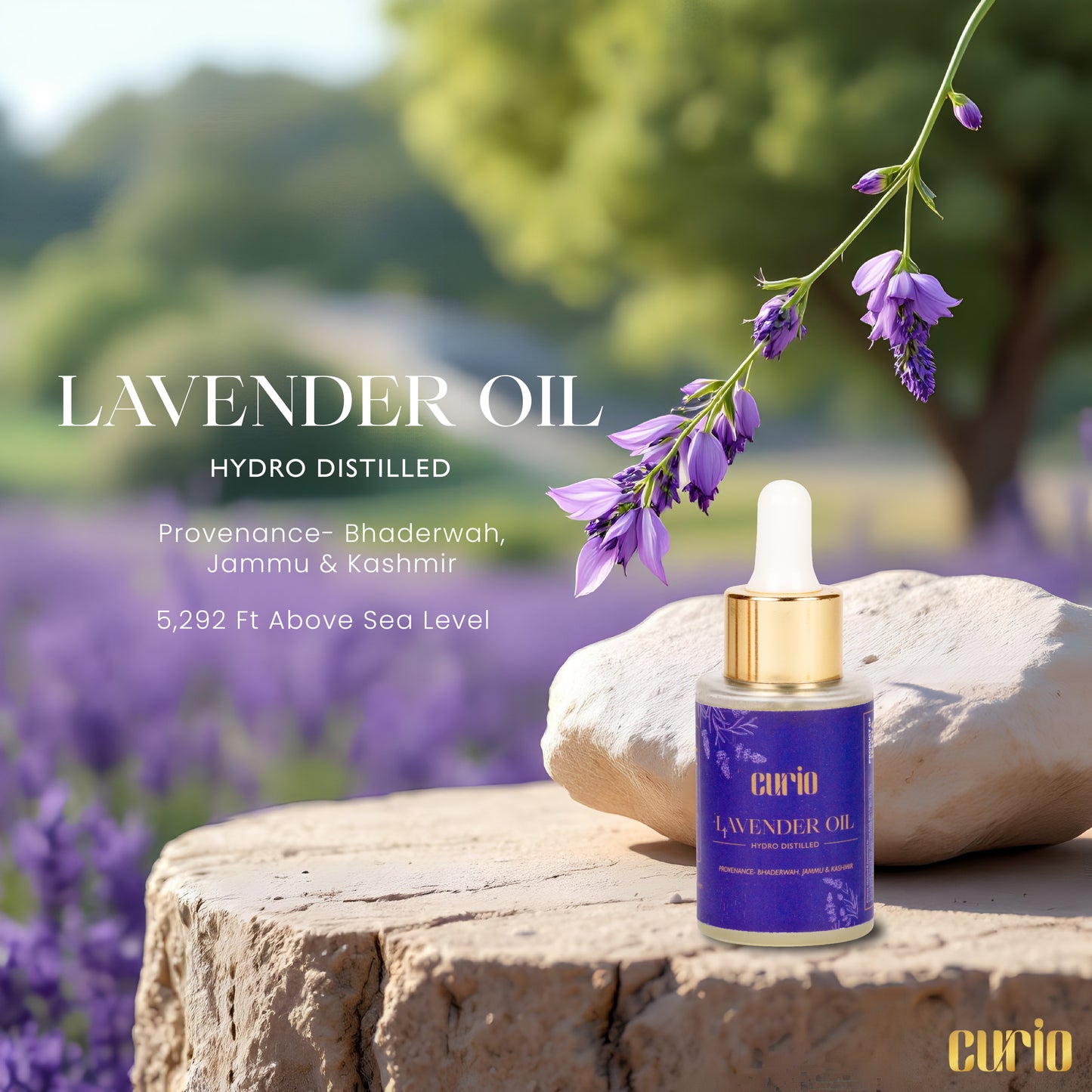 Himalayan Lavender Oil