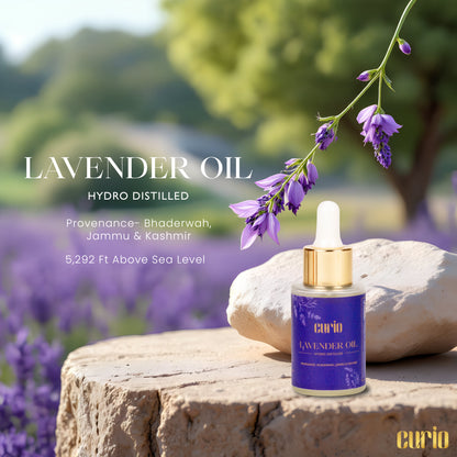 Himalayan Lavender Oil